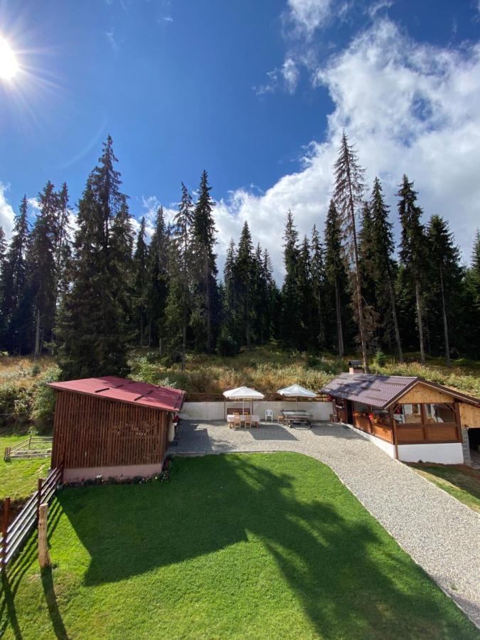 Cabana Ama Tău Bistra Exterior photo