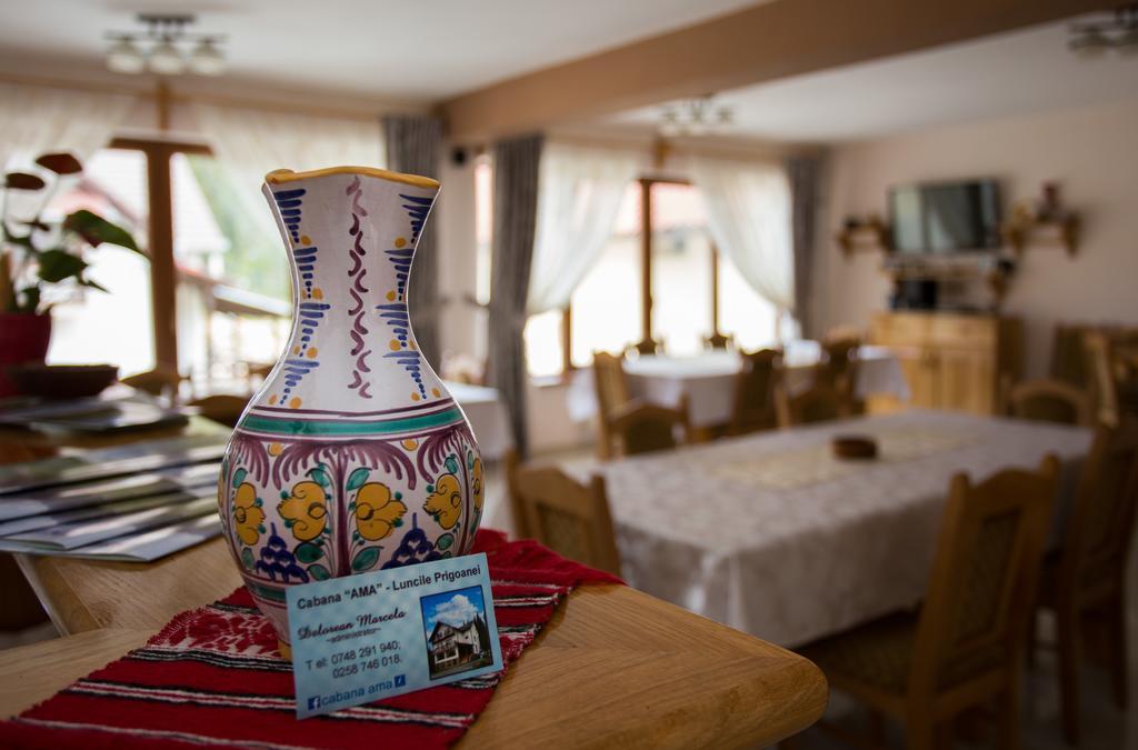Cabana Ama Tău Bistra Exterior photo